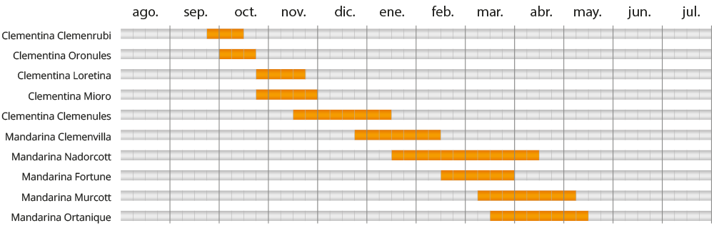 calendario_clementinas_3