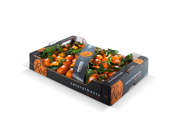 Clementines with leaf alveolus plastic tray 60x40x10 cm